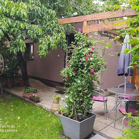 Apartment Garden Czeskie Budziejowice Zewnętrze zdjęcie