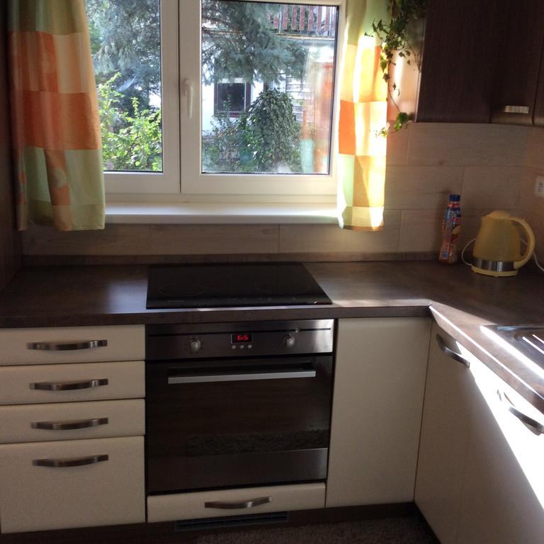 Apartment Garden Czeskie Budziejowice Zewnętrze zdjęcie